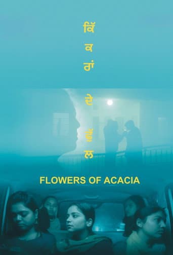 Flowers of Acacia afişi