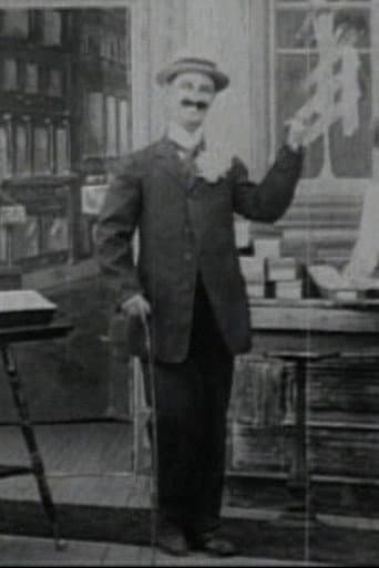 Mr. Flip afişi