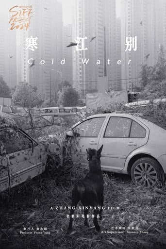 Panda afişi