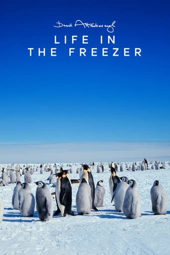 Life in the Freezer afişi