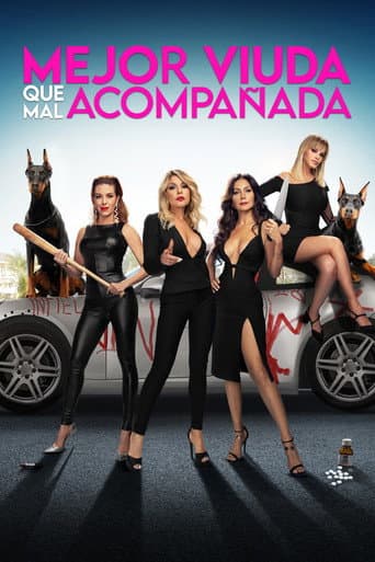 Mejor viuda que mal acompañada afişi