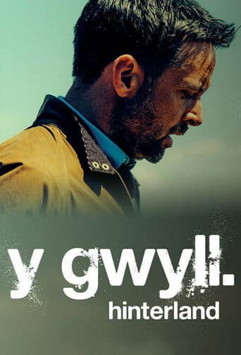 Y Gwyll afişi
