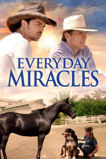 Everyday Miracles afişi