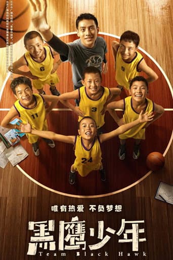 Team Black Hawk afişi