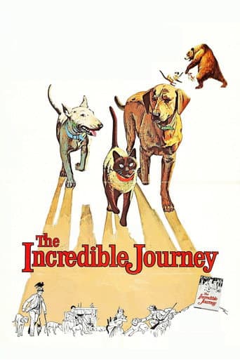 The Incredible Journey afişi