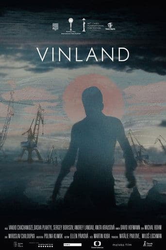 Vinland afişi