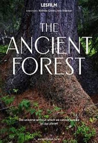 The Ancient Forest afişi