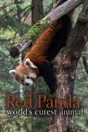 Red Panda: World's Cutest Animal afişi