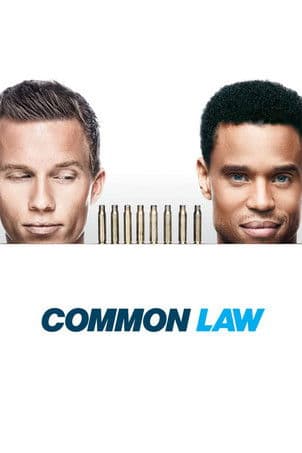 Common Law afişi