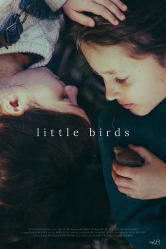 Little Birds afişi