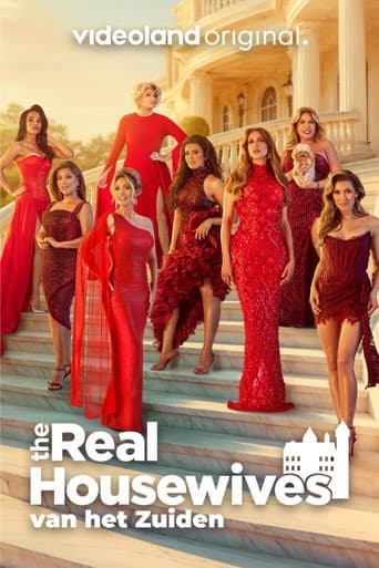 The Real Housewives van het Zuiden afişi