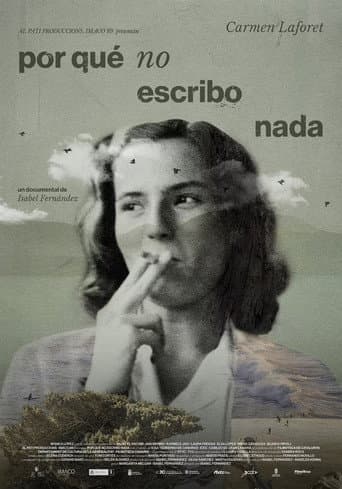 Por qué no escribo nada afişi