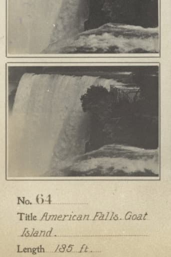 American Falls from Goat Island afişi