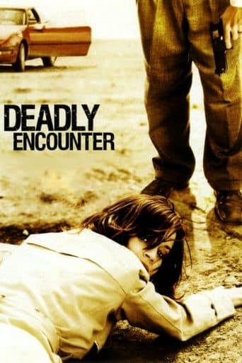A Deadly Encounter afişi