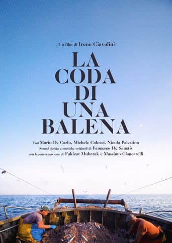 La coda di una Balena afişi