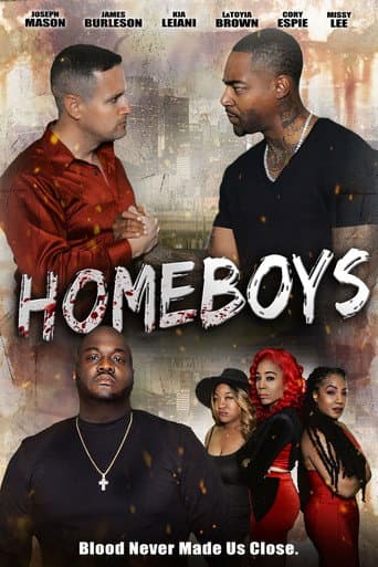 Homeboys afişi