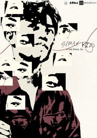 Stray Kids afişi