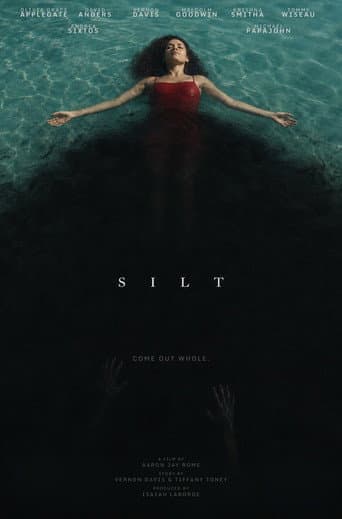 Silt afişi