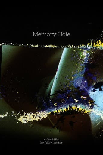 Memory Hole afişi