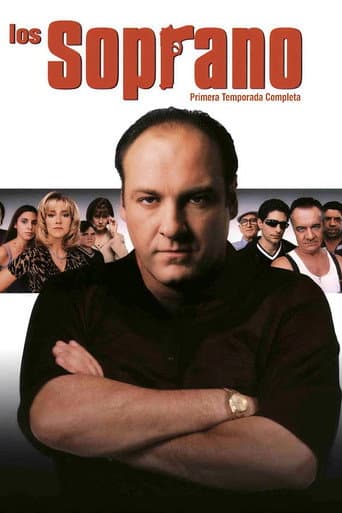 The Sopranos: Season 1 afişi