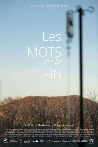 Les mots de la fin afişi