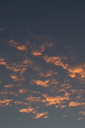 vejo você nos galhos dessa noite afişi