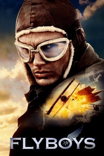 Kahraman Pilotlar afişi