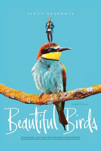 Beautiful Birds afişi