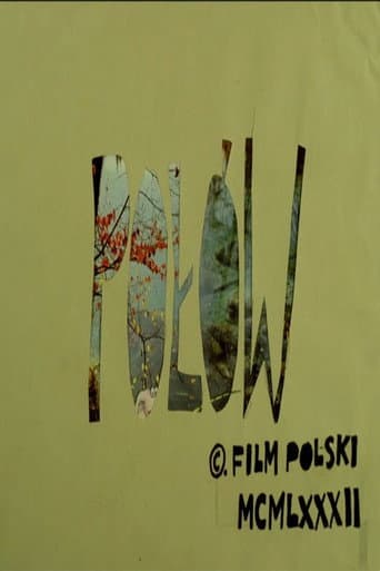 Połów afişi