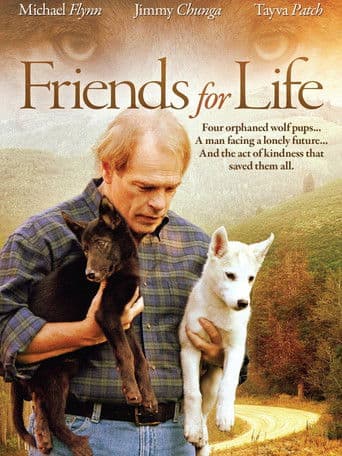 Friends for Life afişi