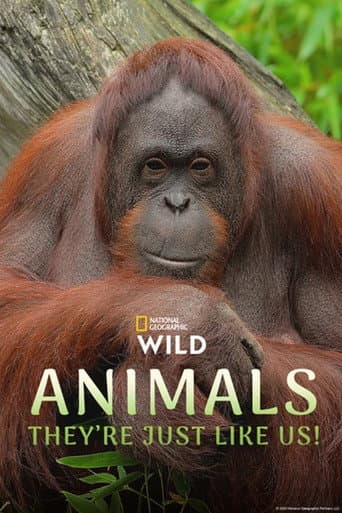 Animals, They're Just Like Us! afişi