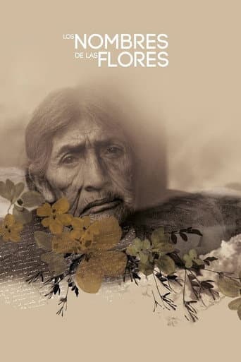 Los nombres de las flores afişi