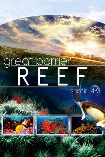 Great Barrier Reef 4K afişi