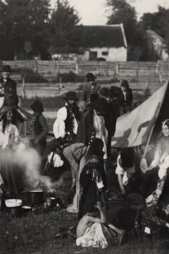 A Camp of Zingaree Gypsies afişi