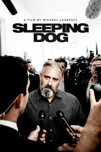 Sleeping Dog afişi