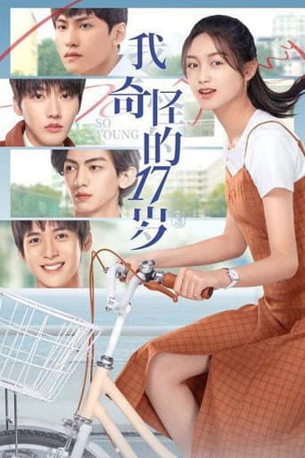 我奇怪的17岁 afişi