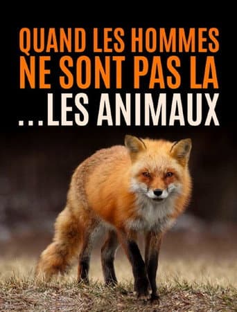 Quand l’homme n’est pas là... les animaux dansent ! afişi