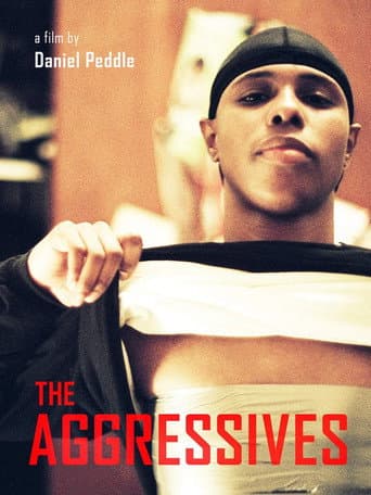 The Aggressives afişi