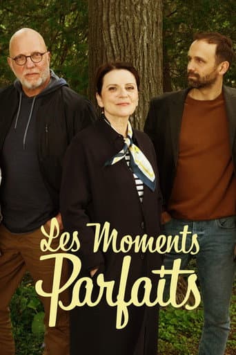 Les moments parfaits afişi