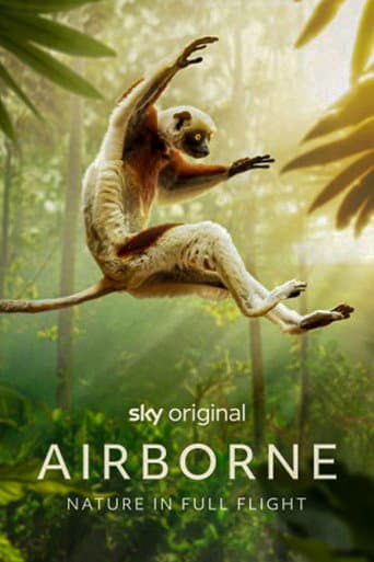 Airborne afişi