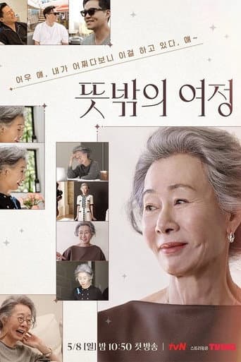 Youn's Unexpected Journey afişi