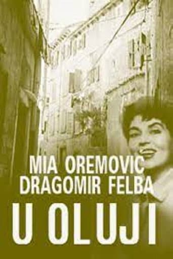 U oluji afişi