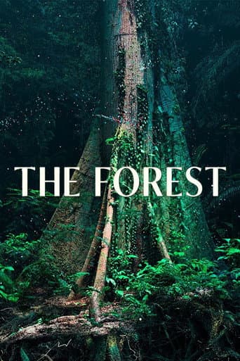 The Forest afişi