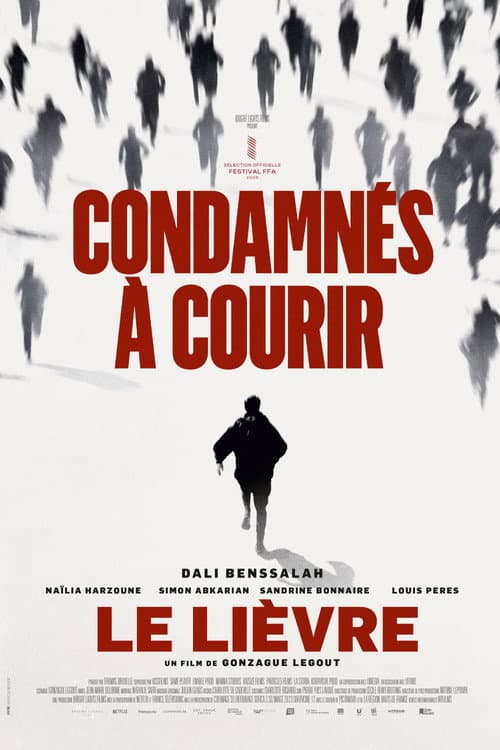 Le lièvre afişi