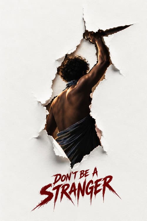 Don't be a stranger afişi