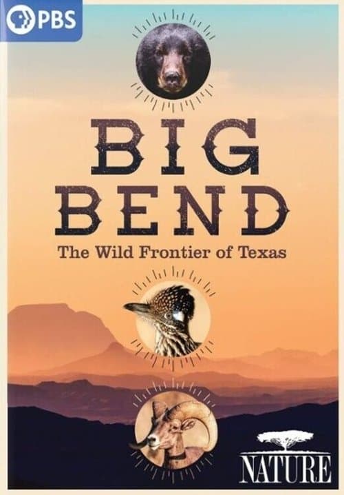 Big Bend: The Wild Frontier of Texas afişi