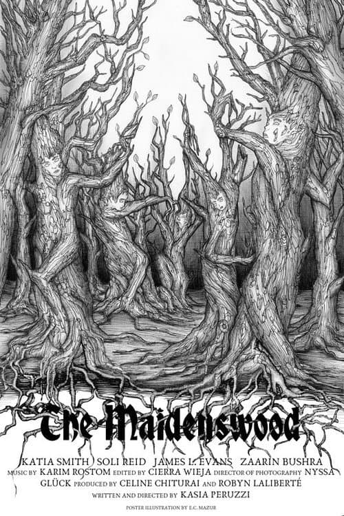 The Maidenswood afişi
