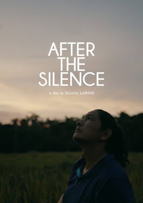 After the Silence afişi