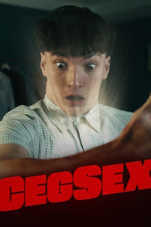 Cegsex afişi