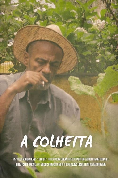 A Colheita afişi